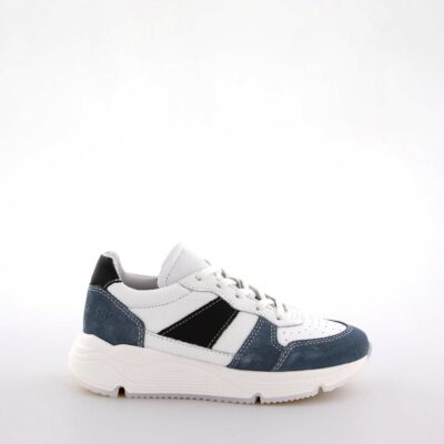 Dino White / Blue