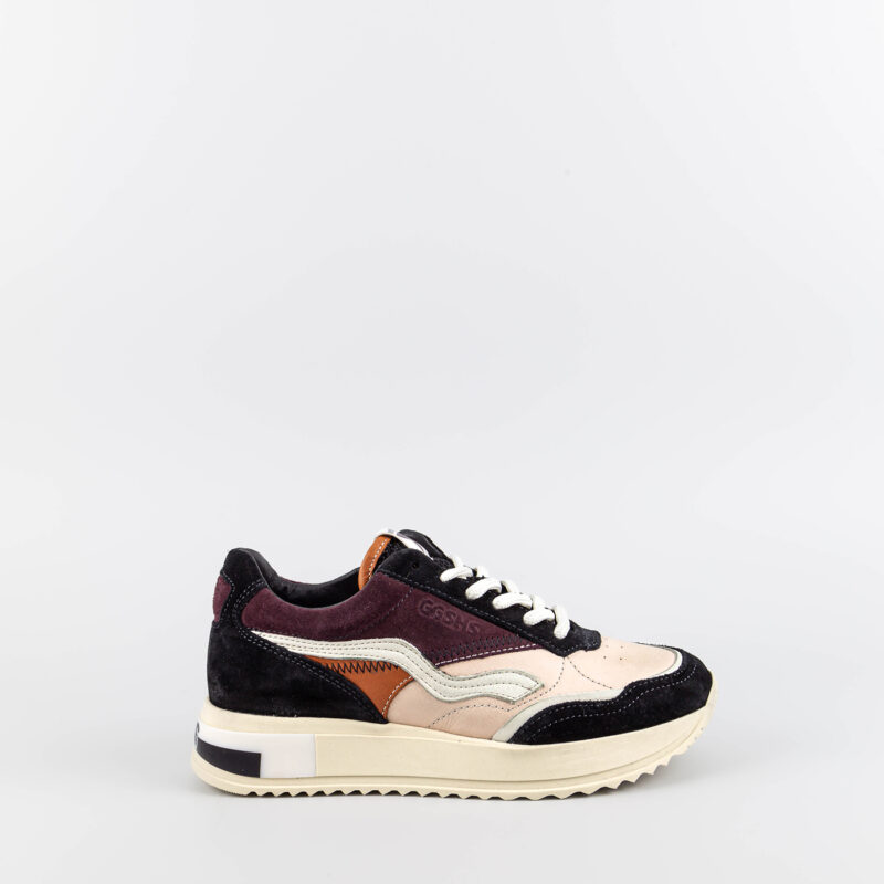Geni Multicolor
