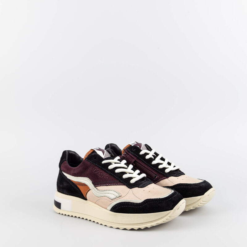 Geni Multicolor - Image 2