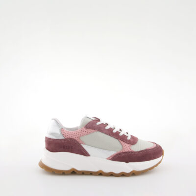 Amur Pink